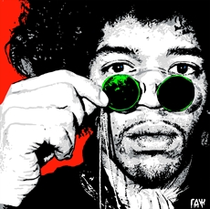 Jimi Hendrix - Raymond Stuwe 